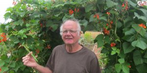 Nick standing in front of a scarlet runner bean covered arch
